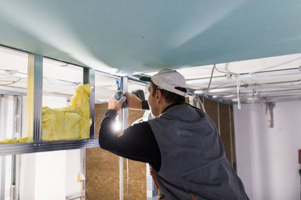 Professional Insulation Contractor in Grand Blanc, MI